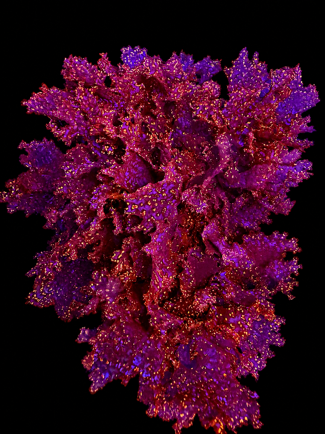 Atomic Broccoli