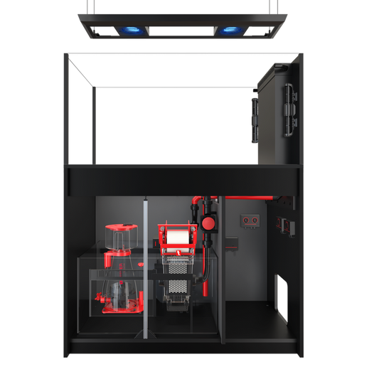 REEFER MAX Peninsula 500 G2+
