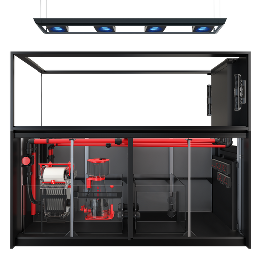 REEFER MAX Peninsula S-950 G2+