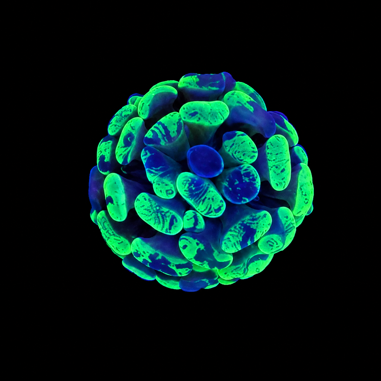 WYSIWYG Splatter Hammer Coral