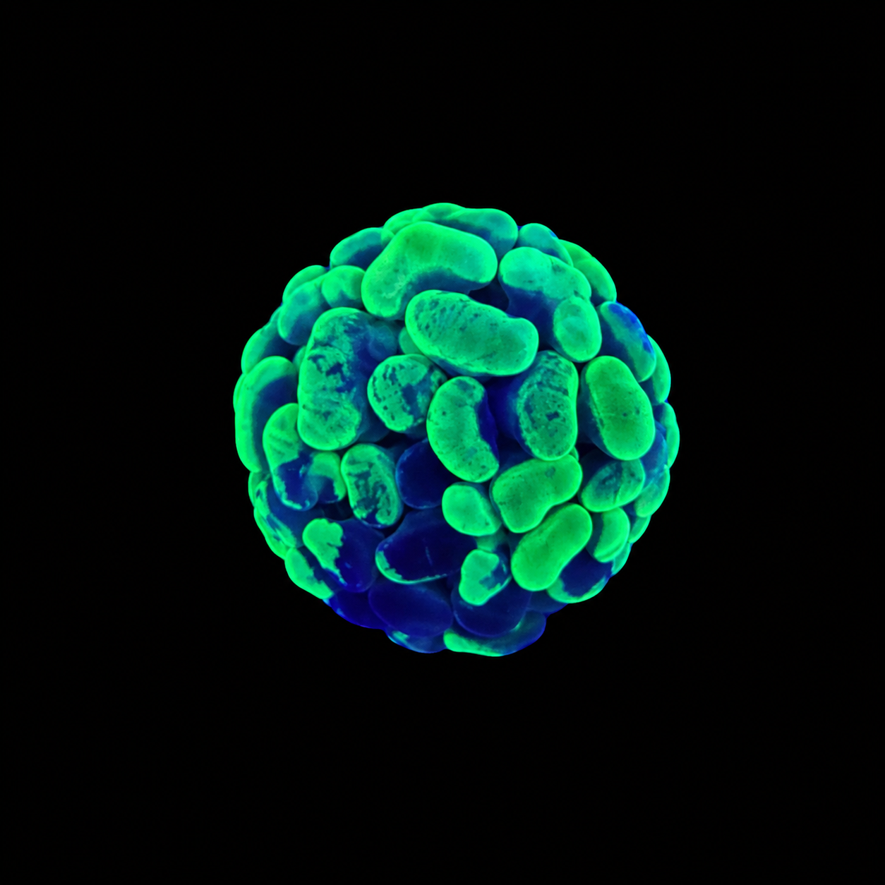 WYSIWYG Splatter Hammer Coral