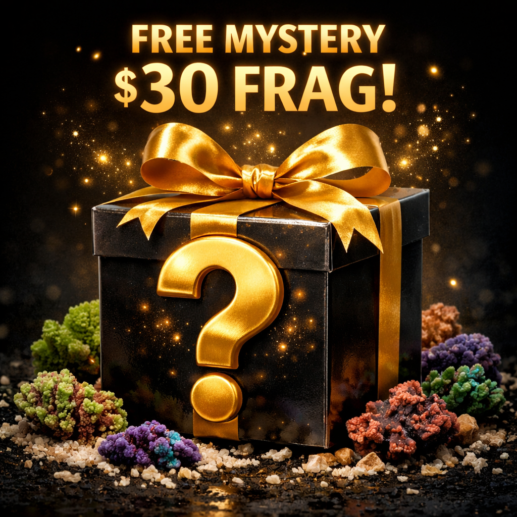 Bonus Free $30 Frag