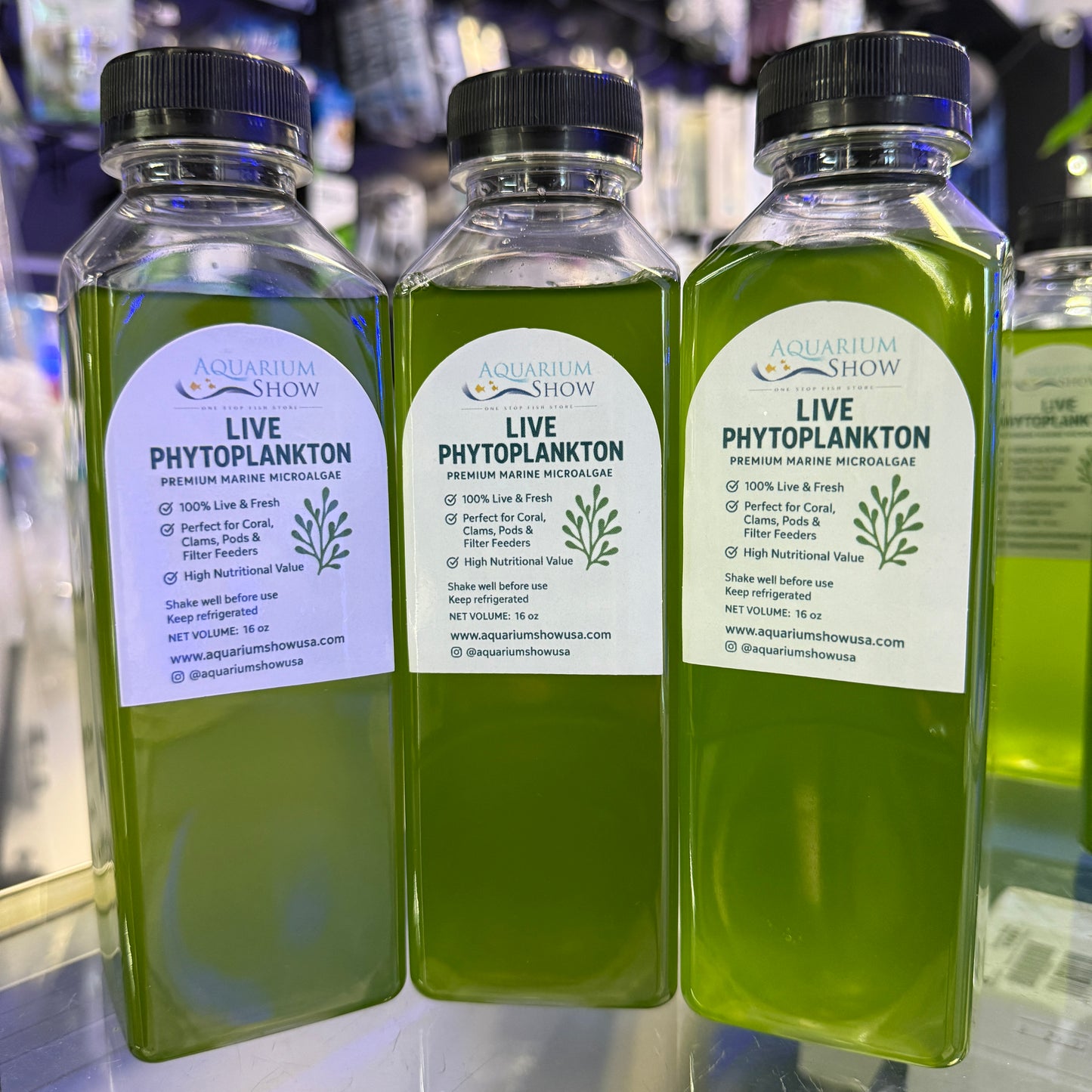 Fresh Live Phytoplankton