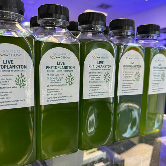 Fresh Live Phytoplankton