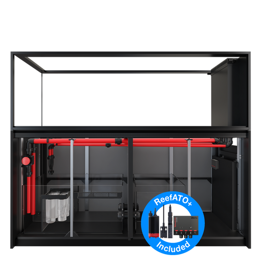 REEFER Peninsula S-950 G2+