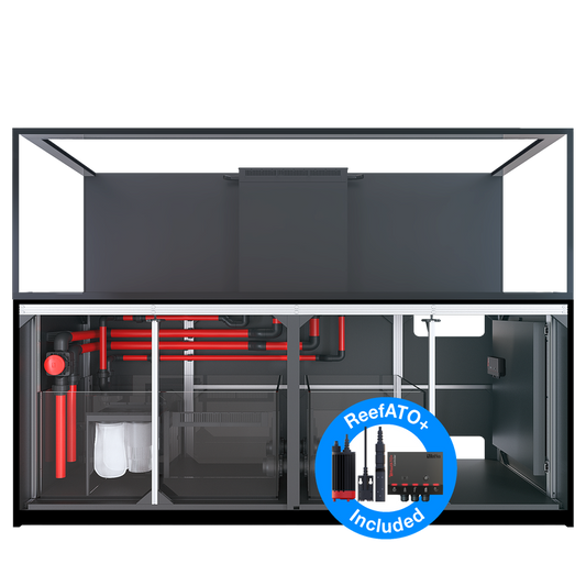 REEFER-S 1000 G2+
